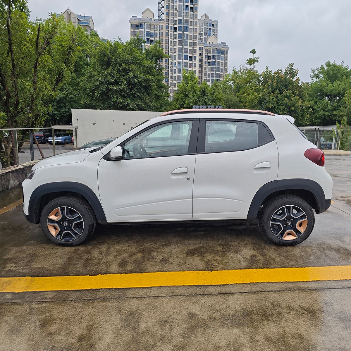 Dongfeng Forthing T1 EV - Image 4