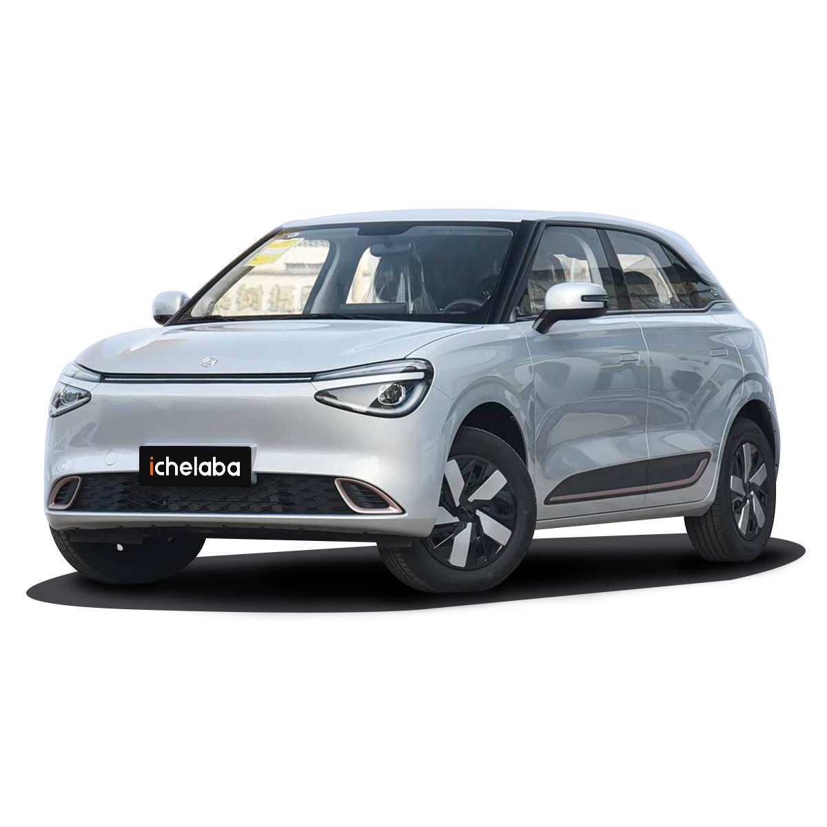 Dongfeng Nammi 01