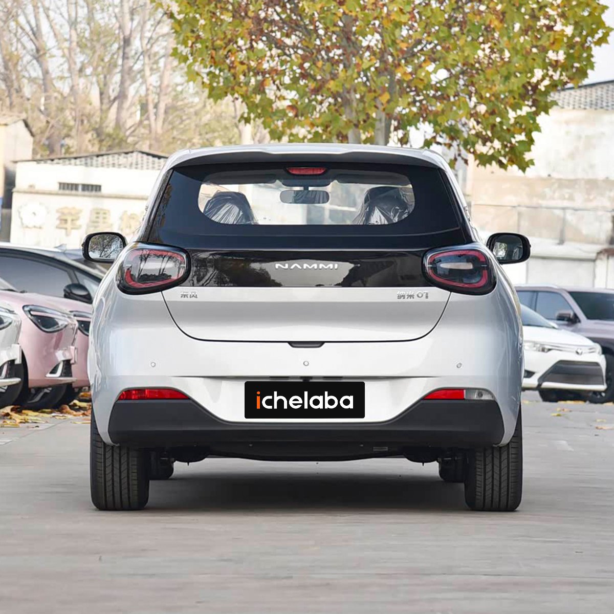 Dongfeng Nammi 01 - Image 4