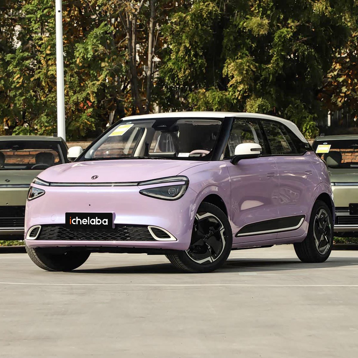 Dongfeng Nammi 01 - Image 12