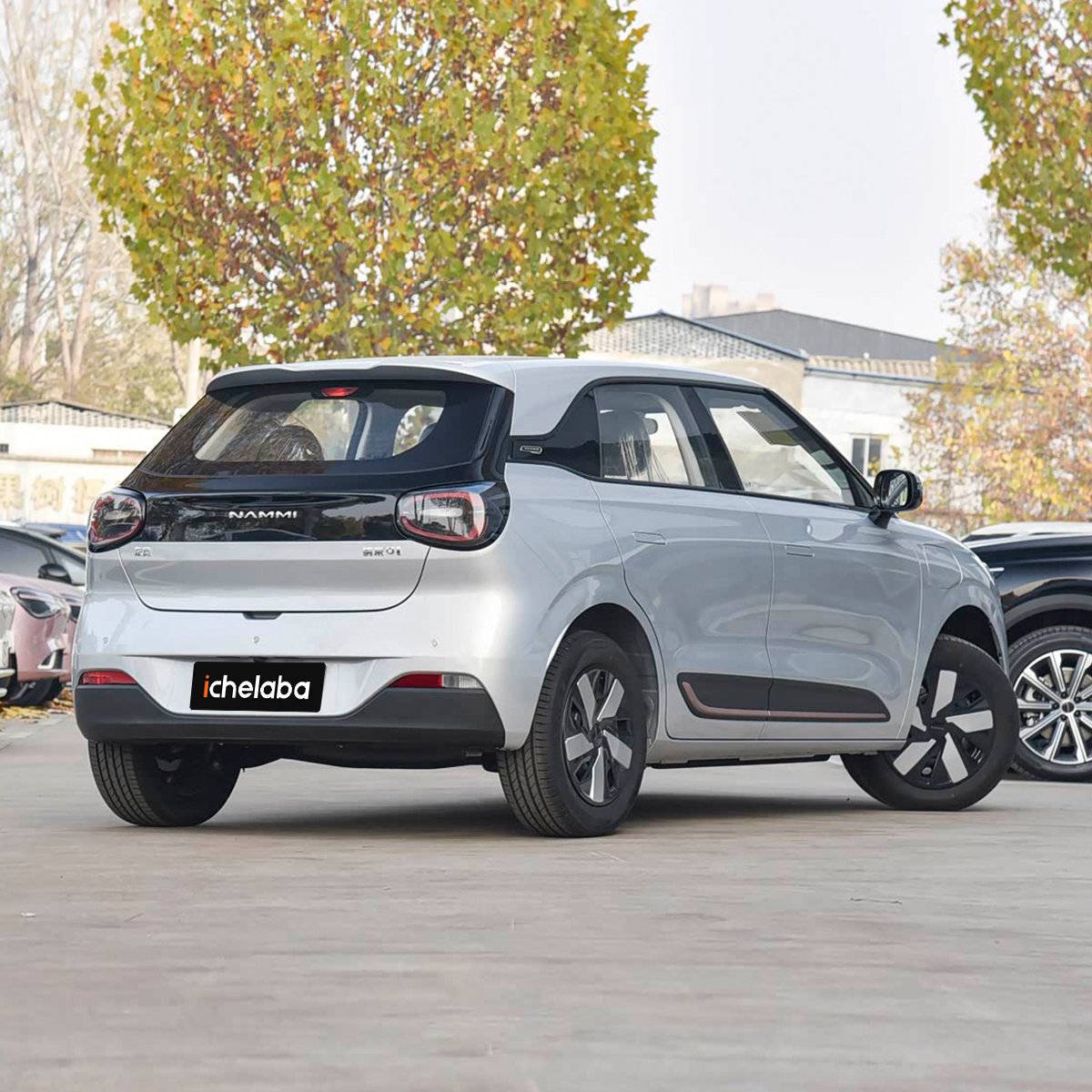 Dongfeng Nammi 01 - Image 3