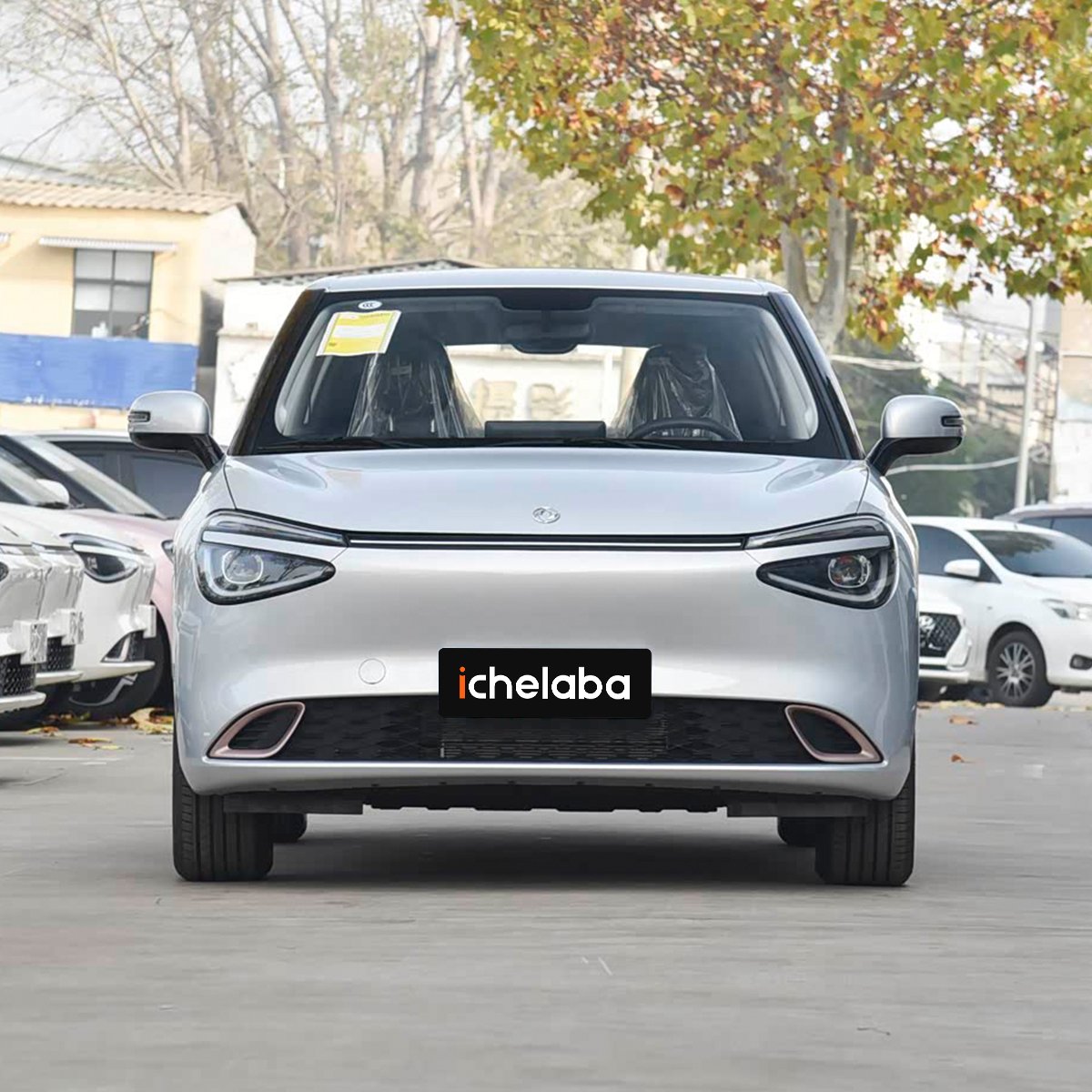 Dongfeng Nammi 01 - Image 8