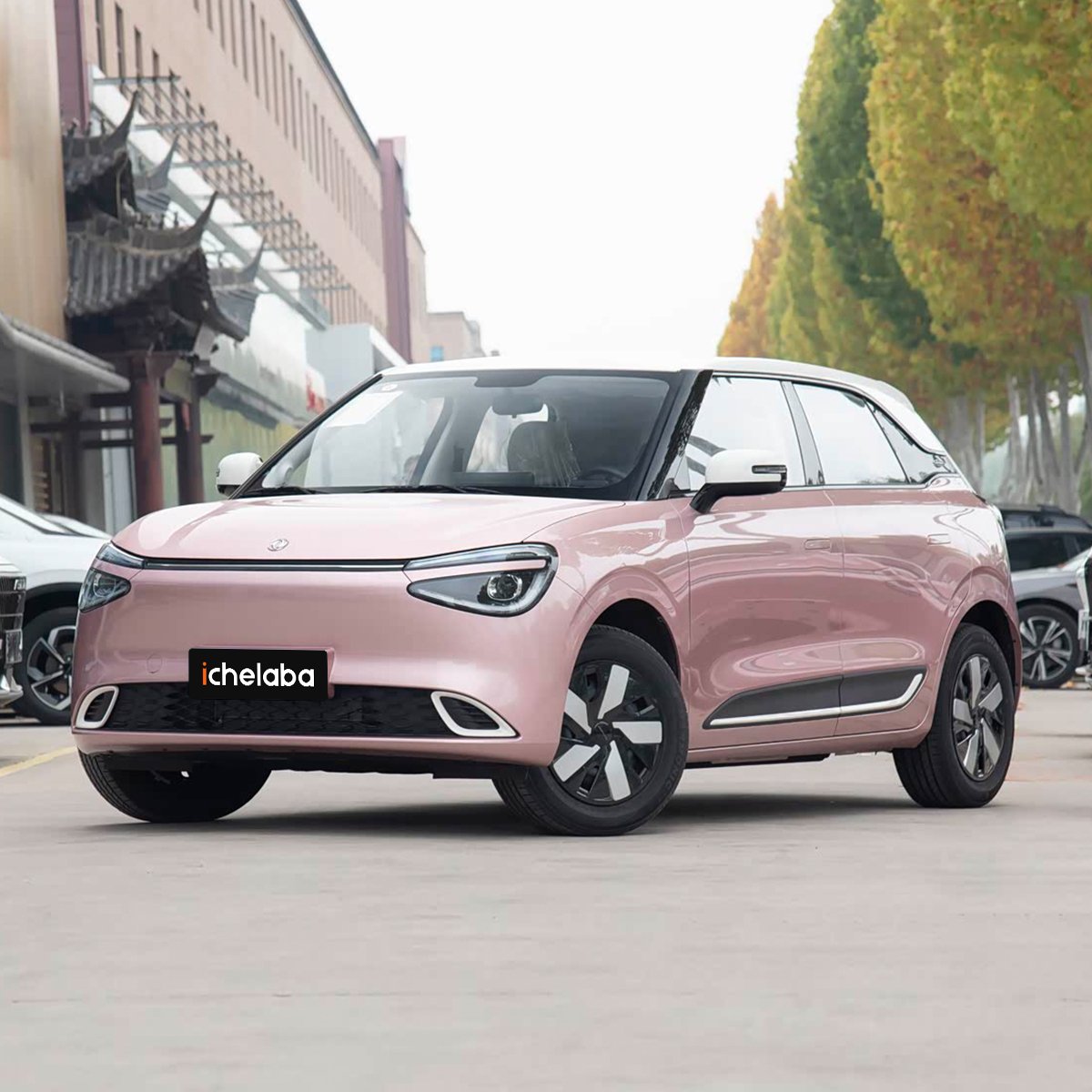 Dongfeng Nammi 01 - Image 15