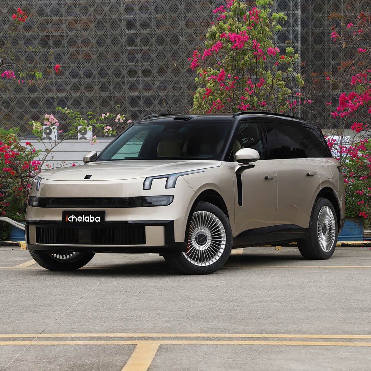 Lynk & Co 900 - Image 15