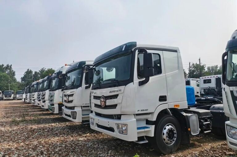 Baic Foton Heavy Duty Truck(2)