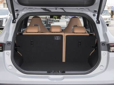 Dongfeng Forthing T5 EVO Details (13)