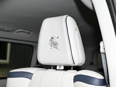Dongfeng Forthing M7 Details (8)