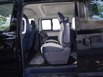 Dongfeng Forthing Lingzhi Plus Details (1)