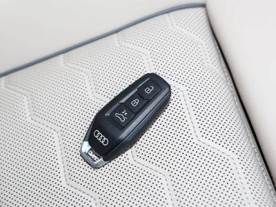 Audi A6L e-tron details (15)