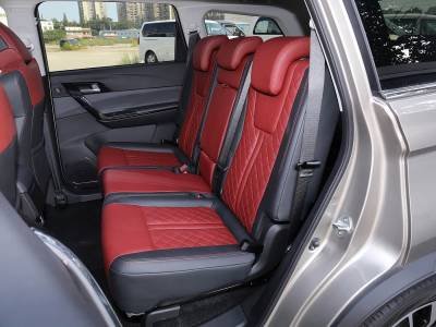 Dongfeng Forthing T5L Details (13)