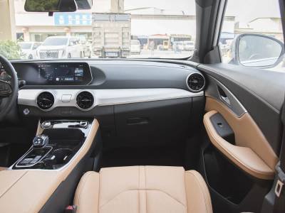 Dongfeng Forthing T5 EVO Details (8)