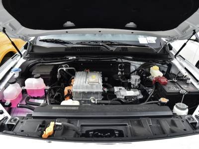 Dongfeng Rich 6 EV Auto Details (1)