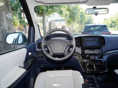 Dongfeng Forthing Lingzhi Plus Details (5)