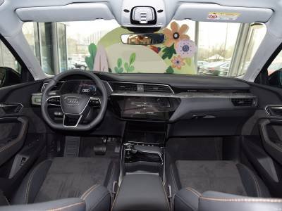 Audi e-tron Details (13)