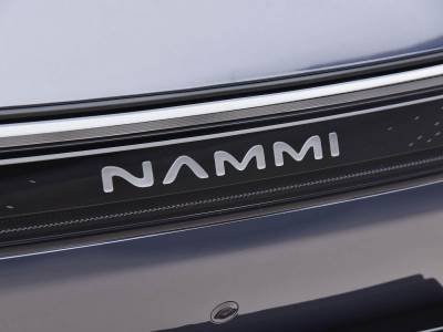 Dongfeng Nammi 01 details (9)