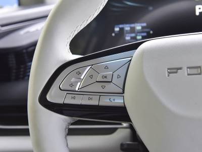 Dongfeng Forthing V9 details (1)