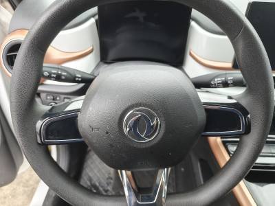 Dongfeng Forthing T1 EV Details (6)