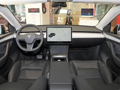 Tesla Model Y Details (13)
