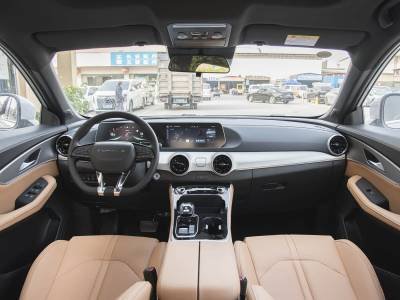 Dongfeng Forthing T5 EVO Details (16)