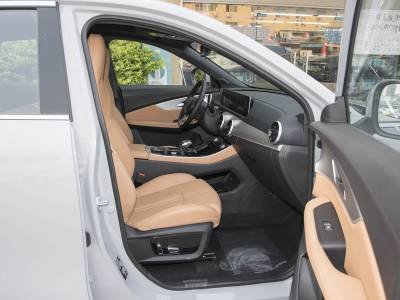 Dongfeng Forthing T5 EVO Details (12)