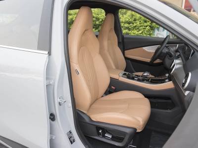 Dongfeng Forthing T5 EVO Details (2)