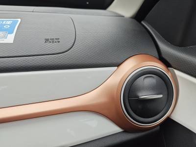 Dongfeng Forthing T1 EV Details (10)