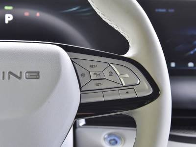 Dongfeng Forthing V9 details (7)