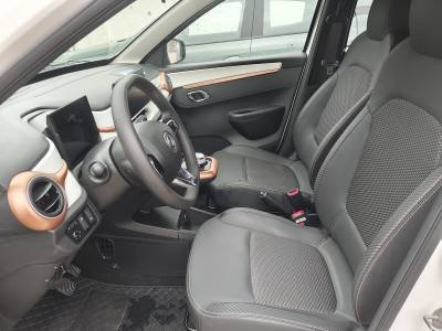 Dongfeng Forthing T1 EV Details (2)