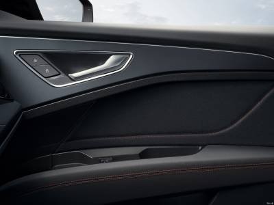 Audi Q5 e-tron Details (11)