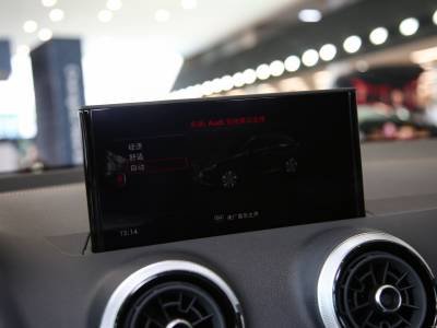 Audi Q2L e-tron Details (1)