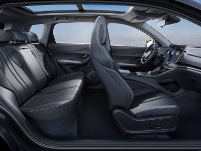 BYD Sealion 05 DM details (10)