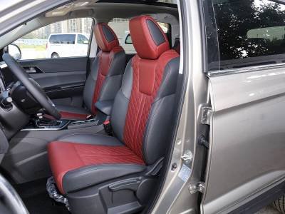 Dongfeng Forthing T5L Details (8)