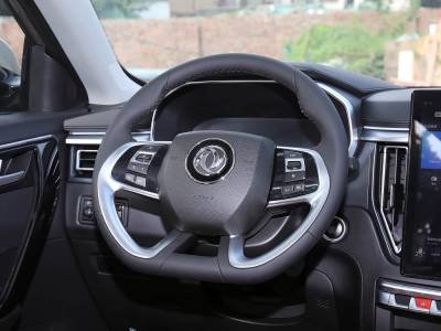 Dongfeng Forthing T5L Details (1)
