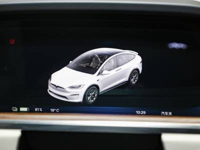 Tesla Model X Details (13)