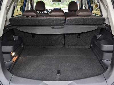 Dongfeng Forthing Jingyi X5 details (15)
