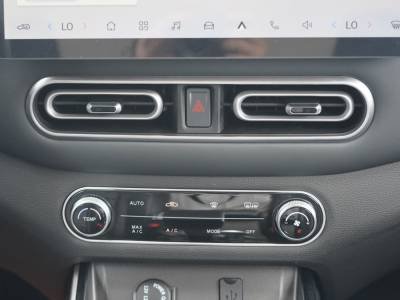 Dongfeng Forthing SX5 Details (2)