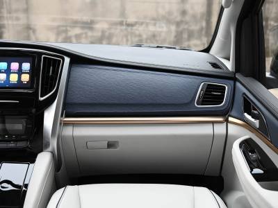 Dongfeng Forthing M7 Details (4)