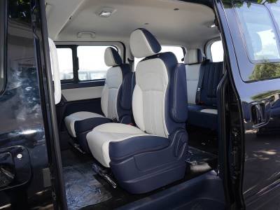 Dongfeng Forthing Lingzhi Plus Details (8)