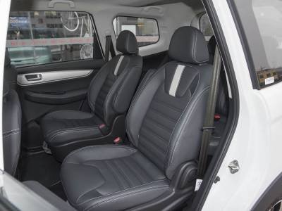 Dongfeng Fengxing SX6 Details (2)