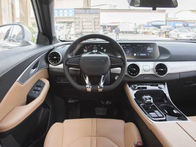 Dongfeng Forthing T5 EVO Details (9)
