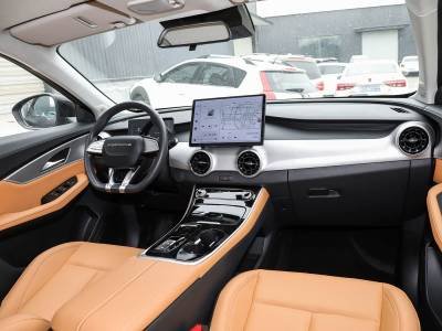 Dongfeng Forthing Xinghai T5 details (10)