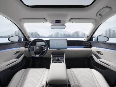 BYD Qin L Dmi details (12)