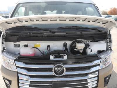 Foton View CS2 mini van bus Cargo Van (2)