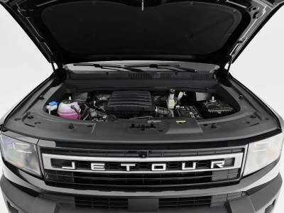 Jetour Freedom details (14)