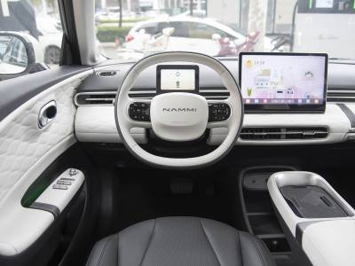 Dongfeng Nammi 01 details (11)
