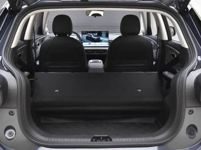 Dongfeng Nammi 01 details (15)