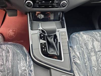 Dongfeng Forthing SX5 Details (1)