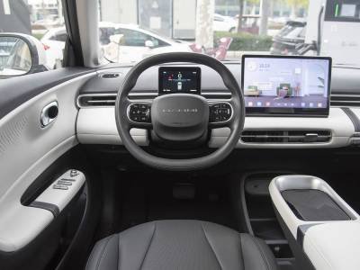 Dongfeng Nammi 01 details (13)