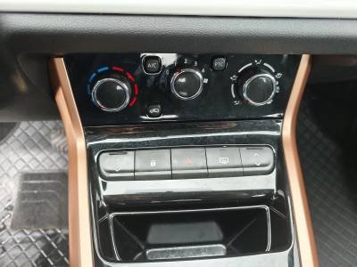 Dongfeng Forthing T1 EV Details (5)