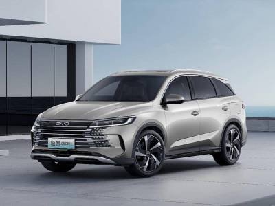 BYD Sealion 05 DM details (1)